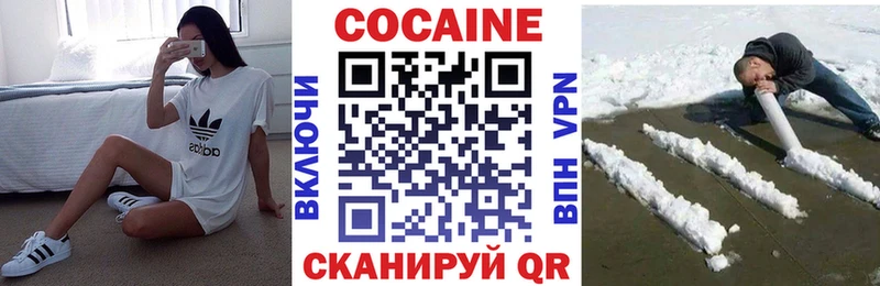 Купить  Кирсанов  COCAIN Fish Scale 